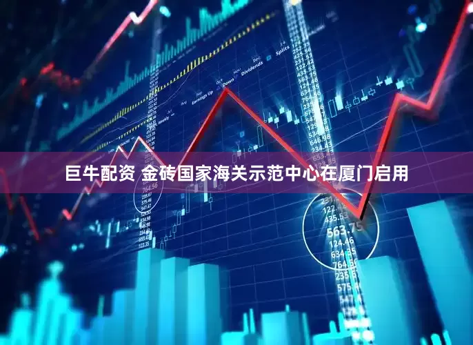 巨牛配资 金砖国家海关示范中心在厦门启用