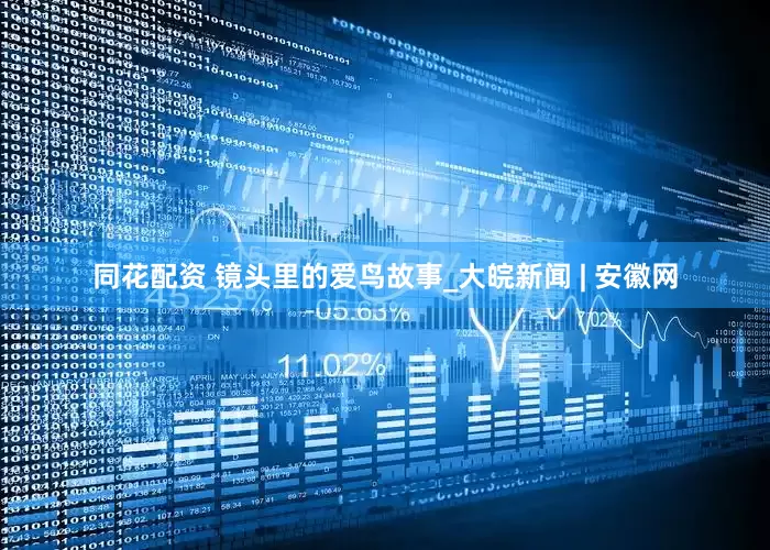 同花配资 镜头里的爱鸟故事_大皖新闻 | 安徽网