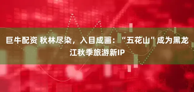 巨牛配资 秋林尽染，入目成画：“五花山”成为黑龙江秋季旅游新IP