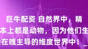 巨牛配资 自然界中，精满氣足的基本上都是动物，因为他们生活在魄主导的维度世界中！_能量_本能_人类